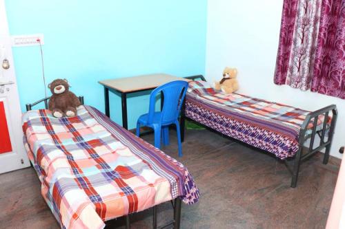 Roomate Zone Boys PG